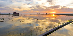 Octubre en la Albufera de Valencia