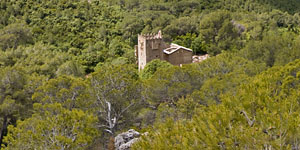 Vista del monasterio de La Murta en Alzira